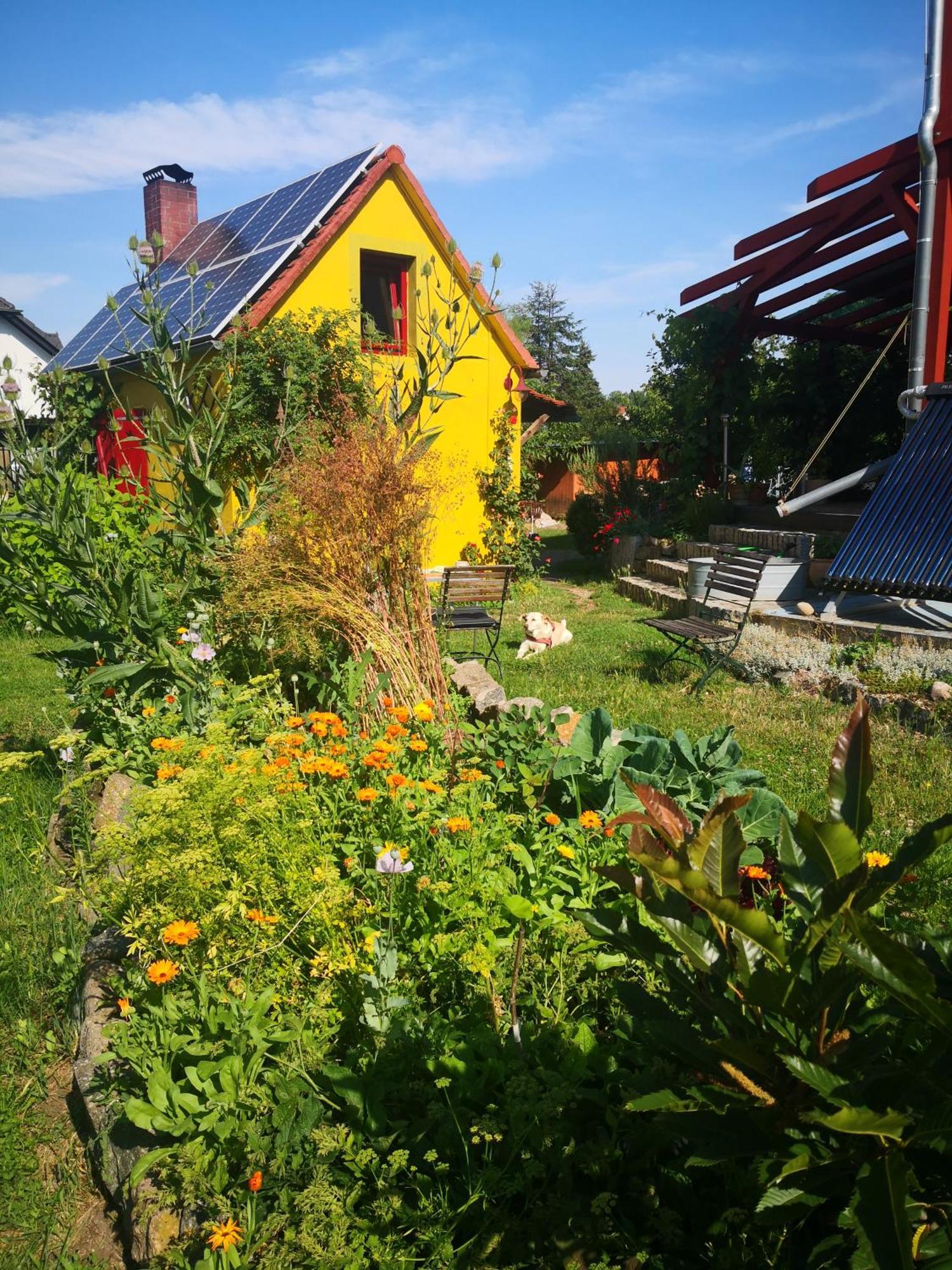 Apartament Zum Waldmeister - Wc Ausserhalb *