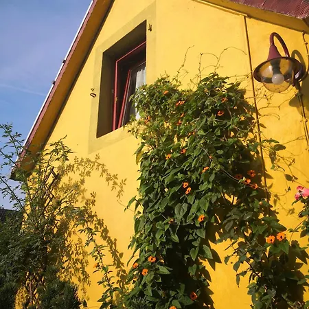 Zum Waldmeister - Wc Ausserhalb Schkeuditz Exterior photo