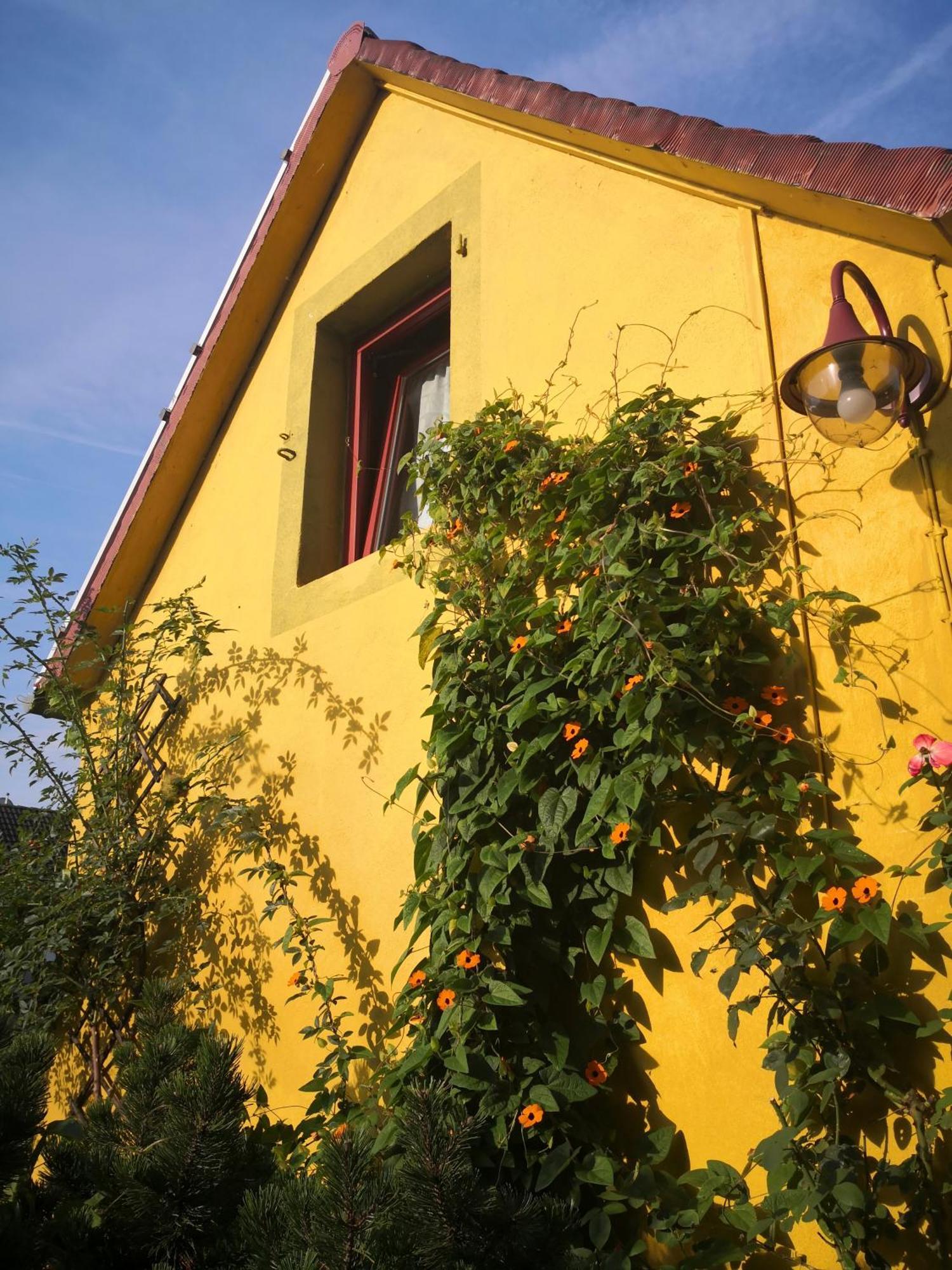 Apartment Zum Waldmeister - Wc Ausserhalb Schkeuditz